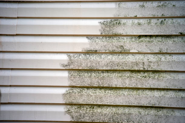 Same-Day Junk Removal Services in Napavine, WA