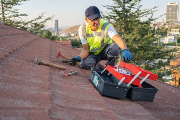 Best Construction Debris Removal  in Napavine, WA